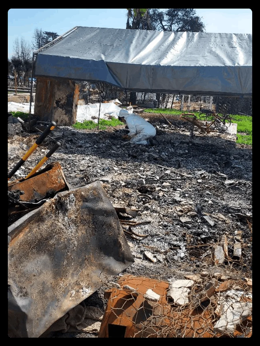 IN THE ASHES